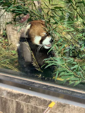 天王寺動物園に投稿された画像（2021/12/19）