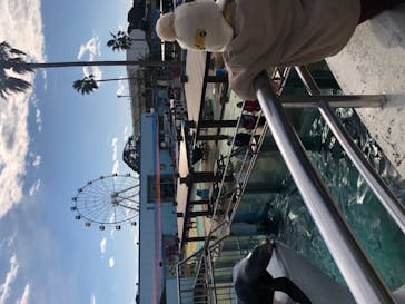 南知多ビーチランド＆南知多おもちゃ王国に投稿された画像（2021/12/19）