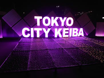 東京メガイルミに投稿された画像（2021/12/19）