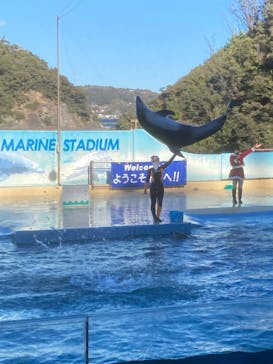 下田海中水族館に投稿された画像（2021/12/19）