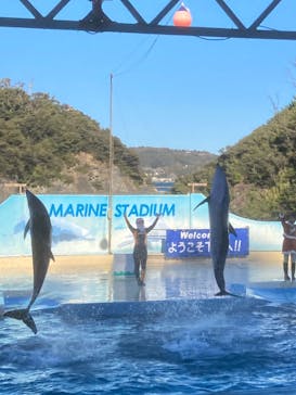 下田海中水族館に投稿された画像（2021/12/19）