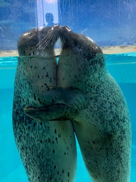 下田海中水族館に投稿された画像（2021/12/19）