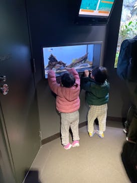 サンシャイン水族館に投稿された画像（2021/12/19）