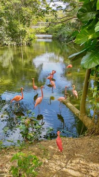 ネオパークオキナワに投稿された画像（2021/12/19）