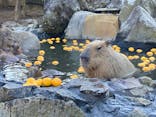 伊豆シャボテン動物公園に投稿された画像（2021/12/19）