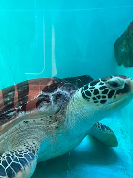 仙台うみの杜水族館に投稿された画像（2021/12/19）