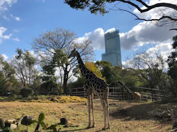 天王寺動物園に投稿された画像（2021/12/19）