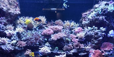 マクセル アクアパーク品川に投稿された画像（2021/12/19）