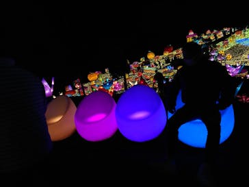 伊豆ぐらんぱる公園に投稿された画像（2021/12/19）