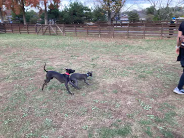 わんダフルネイチャーヴィレッジに投稿された画像（2021/12/19）