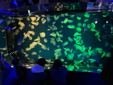 名古屋港水族館に投稿された画像（2021/12/19）