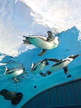 サンシャイン60展望台に投稿された画像（2021/12/19）