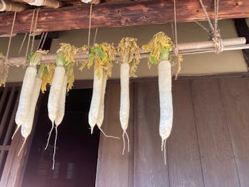 江戸東京たてもの園に投稿された画像（2021/12/19）