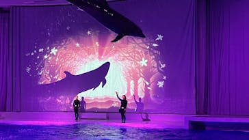 アクアワールド茨城県大洗水族館に投稿された画像（2021/12/19）