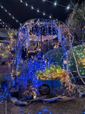 江の島シーキャンドルに投稿された画像（2021/12/19）