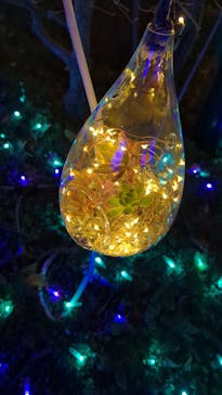 江の島シーキャンドルに投稿された画像（2021/12/19）