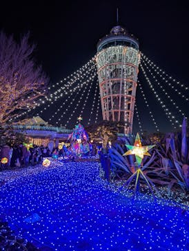 江の島シーキャンドルに投稿された画像（2021/12/19）