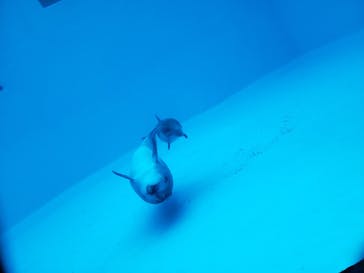 名古屋港水族館に投稿された画像（2021/12/19）