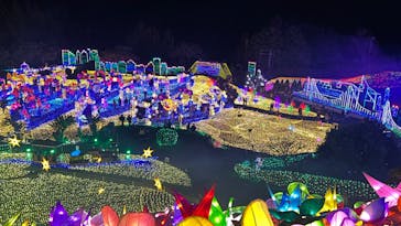 伊豆ぐらんぱる公園に投稿された画像（2021/12/19）