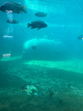 天王寺動物園に投稿された画像（2021/12/19）