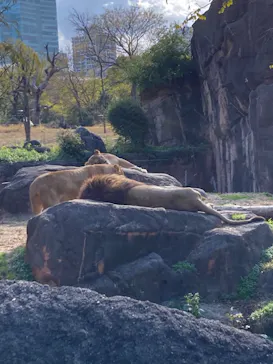 天王寺動物園に投稿された画像（2021/12/19）