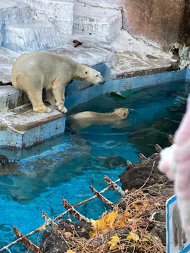 天王寺動物園に投稿された画像（2021/12/19）