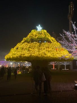 東京メガイルミに投稿された画像（2021/12/19）