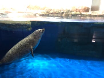 マクセル アクアパーク品川に投稿された画像（2021/12/19）