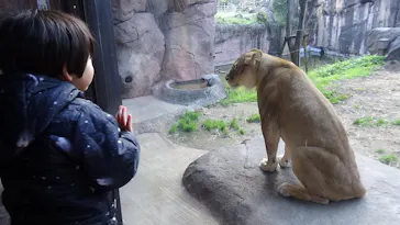天王寺動物園に投稿された画像（2021/12/19）