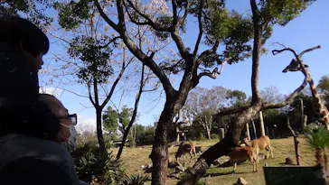 天王寺動物園に投稿された画像（2021/12/19）
