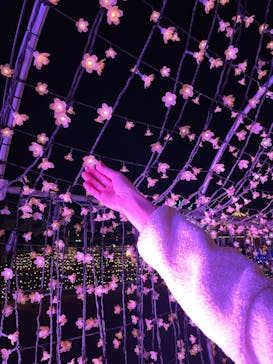 東京メガイルミに投稿された画像（2021/12/19）