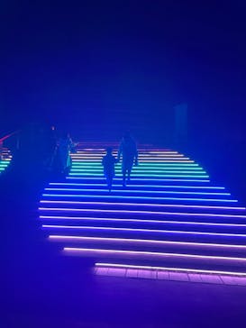 東京メガイルミに投稿された画像（2021/12/19）