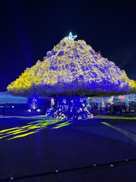 東京メガイルミに投稿された画像（2021/12/19）