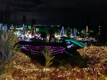 美らヤシパークオキナワ・東南植物楽園に投稿された画像（2021/12/19）