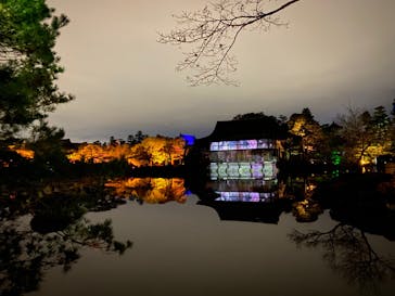 NAKED ヨルモウデ 平安神宮に投稿された画像（2021/12/19）