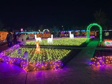 東武動物公園に投稿された画像（2021/12/19）