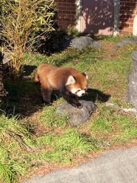 東武動物公園に投稿された画像（2021/12/19）