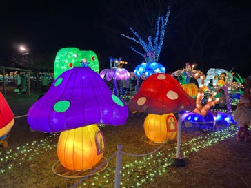 東武動物公園に投稿された画像（2021/12/19）