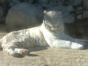 東武動物公園に投稿された画像（2021/12/19）