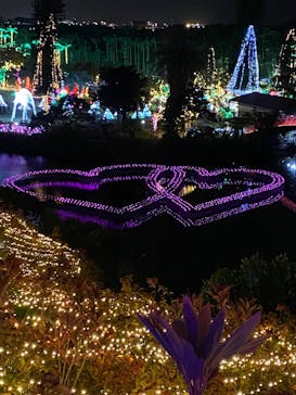 美らヤシパークオキナワ・東南植物楽園に投稿された画像（2021/12/19）