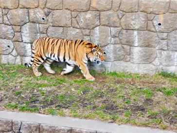 天王寺動物園に投稿された画像（2021/12/19）