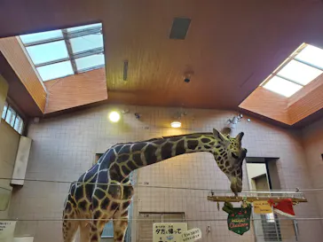 天王寺動物園に投稿された画像（2021/12/19）