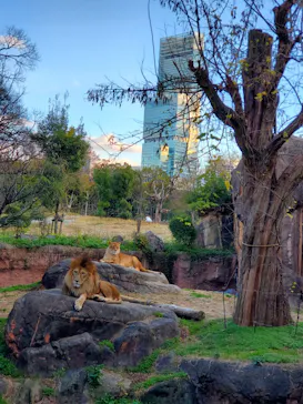 天王寺動物園に投稿された画像（2021/12/19）