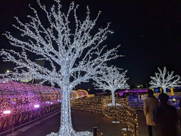 東京メガイルミに投稿された画像（2021/12/19）