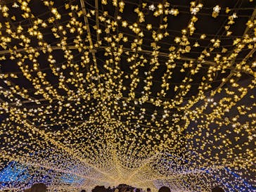 東京メガイルミに投稿された画像（2021/12/19）