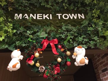 東京健康ランドまねきの湯に投稿された画像（2021/12/19）