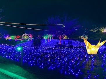 伊豆ぐらんぱる公園に投稿された画像（2021/12/19）