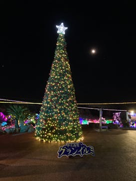 伊豆ぐらんぱる公園に投稿された画像（2021/12/19）