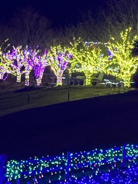 伊豆ぐらんぱる公園に投稿された画像（2021/12/19）