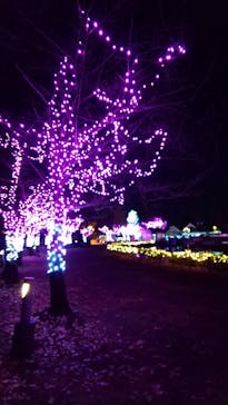 東武動物公園に投稿された画像（2021/12/19）